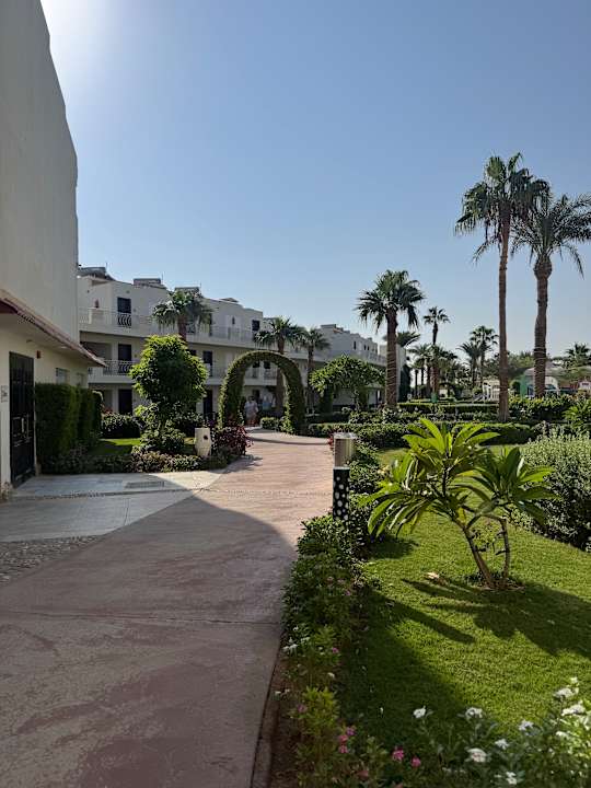 Gartenanlage Amarina Abu Soma Resort & Aquapark