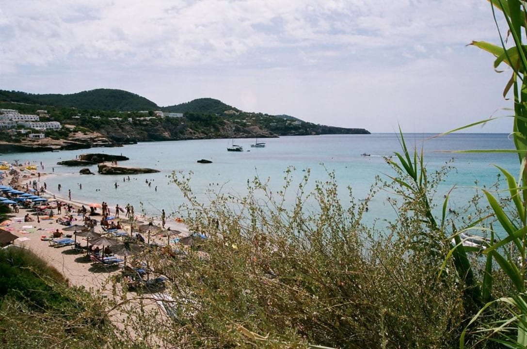 Widok na plażę i zatokę Insotel Tarida Beach Resort & Spa