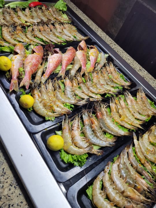 Gastro Jaz Makadi Oasis Resort