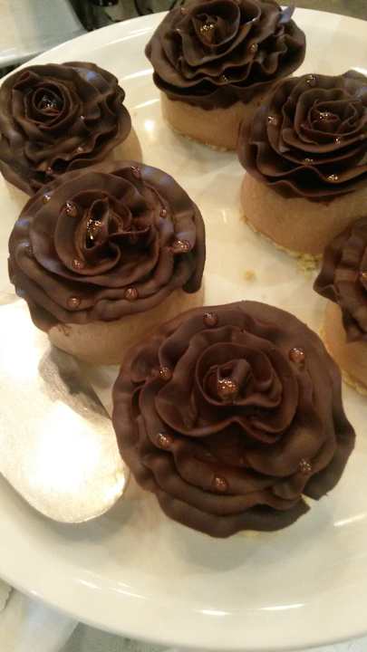 Gastro Acanthus Cennet Barut Collection