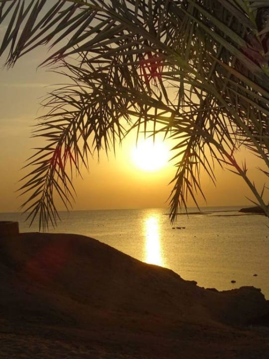 Sonnenaufgang Steigenberger Coraya Beach - Adults only