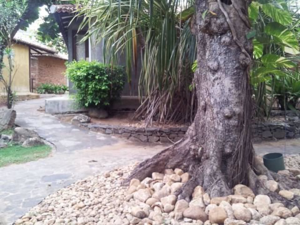 Zwischen den Bungalows Club Hotel Dolphin