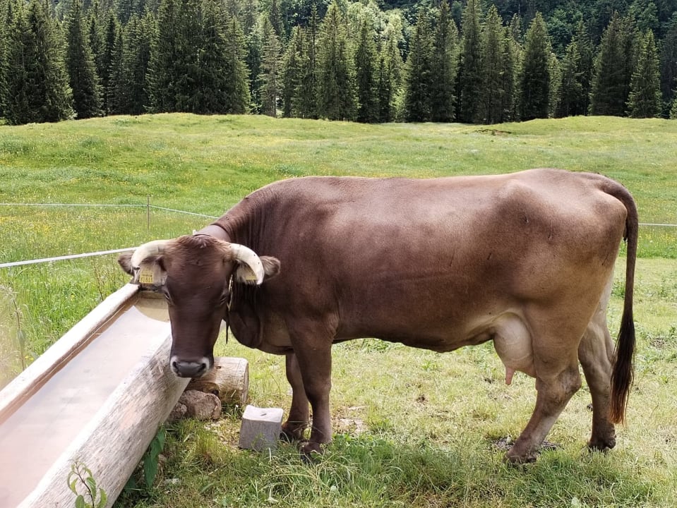 Sport & Freizeit Landhaus Petra - Die kleine Ferienvilla