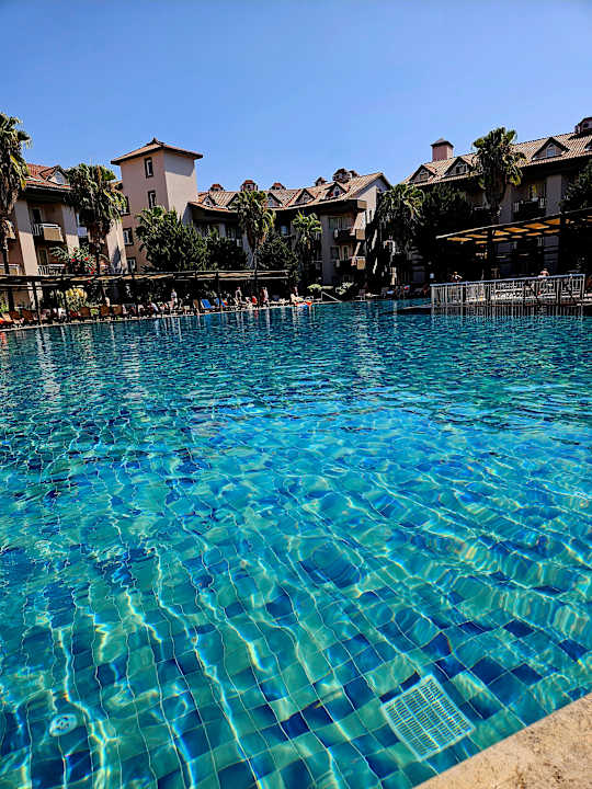 Pool Hotel Orfeus Park