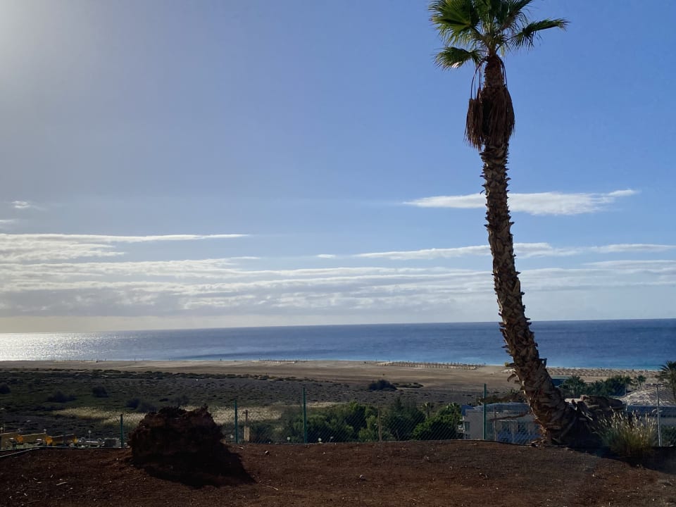 Ausblick Servatur Alameda de Jandía