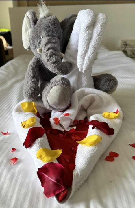 Zimmer Seaden Sea World Resort & Spa