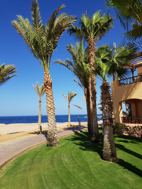 Gartenanlage Steigenberger Coraya Beach - Adults only