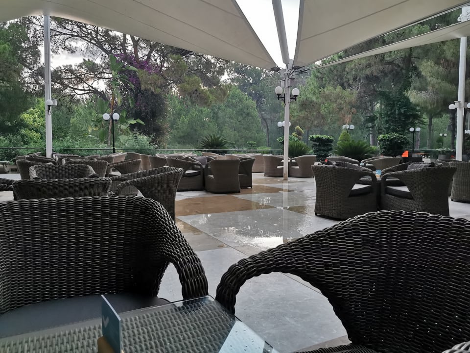 Gastro Balmy Foresta