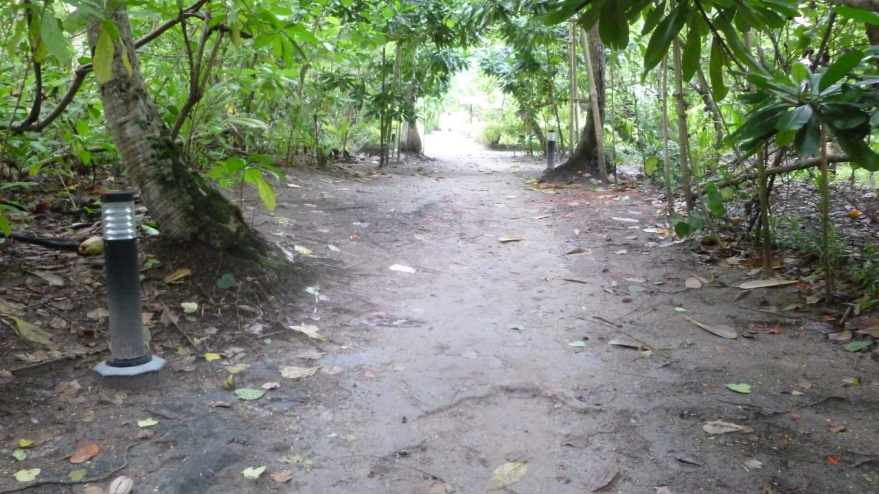 Nicht aufgeräumter Weg Filitheyo Island Resort