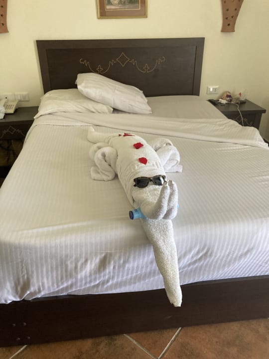 Zimmer Three Corners Sea Beach Resort