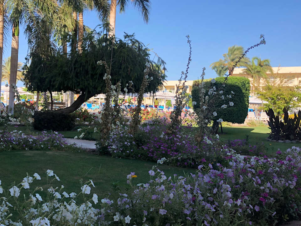 Gartenanlage LABRANDA Royal Makadi