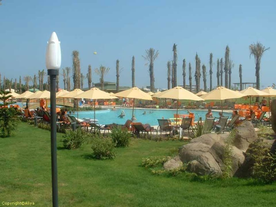 12.07.2006 MC Arancia Resort