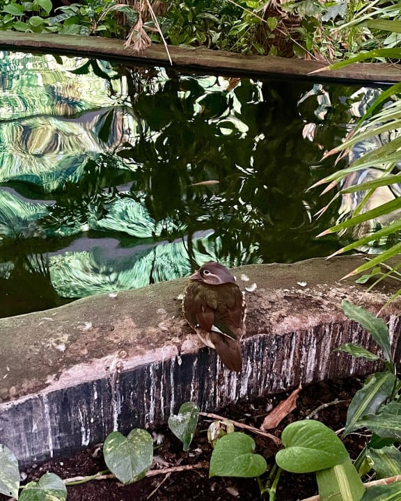 Gartenanlage Tropical Islands Resort