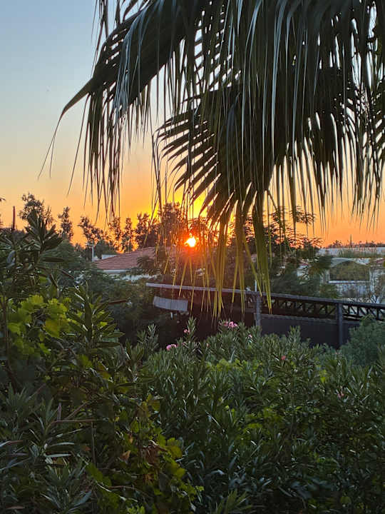 Ausblick Can Garden Resort