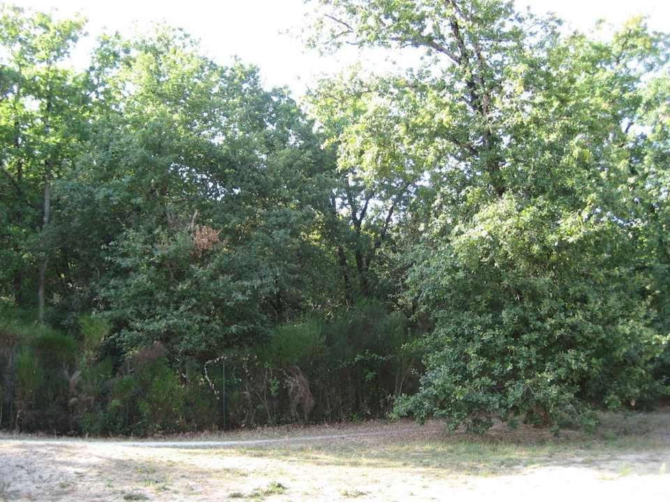 Aussicht von der Terrasse  Hotel Residence Domaine des Sables