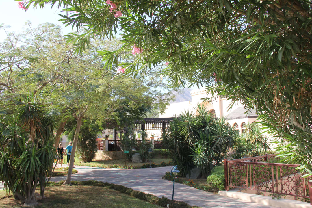 Hotel Iberotel Miramar Al Aqah Beach Resort Miramar Al Aqah Beach Resort