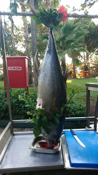 Gastro Labranda Alantur Resort