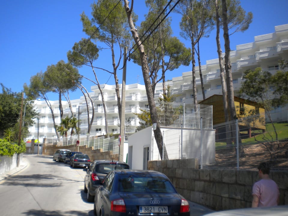 Hotel allsun Hotel Paguera Park