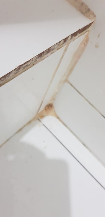 Zimmer Hotel Viva Dominicus Beach by Wyndham - All Inclusive Resort