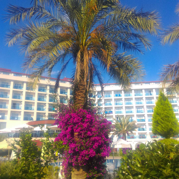 Вид на отель Annabella Diamond Hotel & Spa