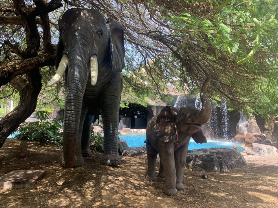 Pool Lopesan Baobab Resort