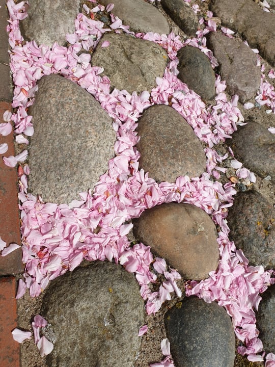 Gartenanlage Ferienbauernhof Liesenberg mit Meerblick