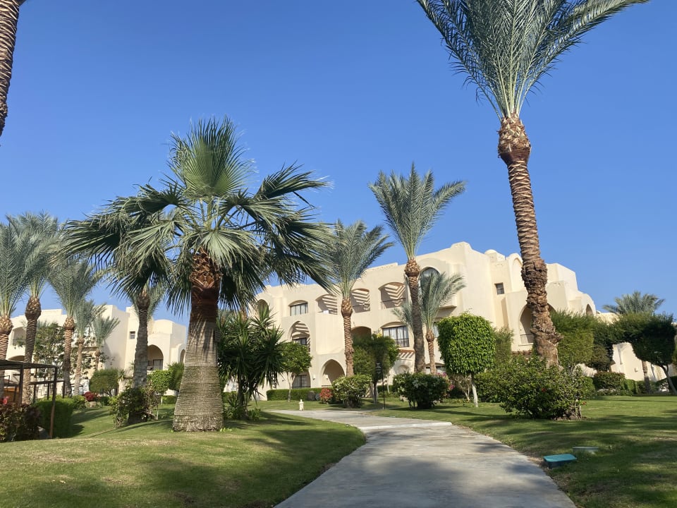 Gartenanlage JAZ Neo Saraya Palms