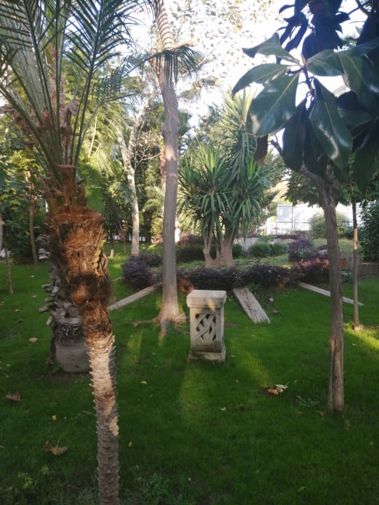 Gartenanlage Hotel Delphin Imperial