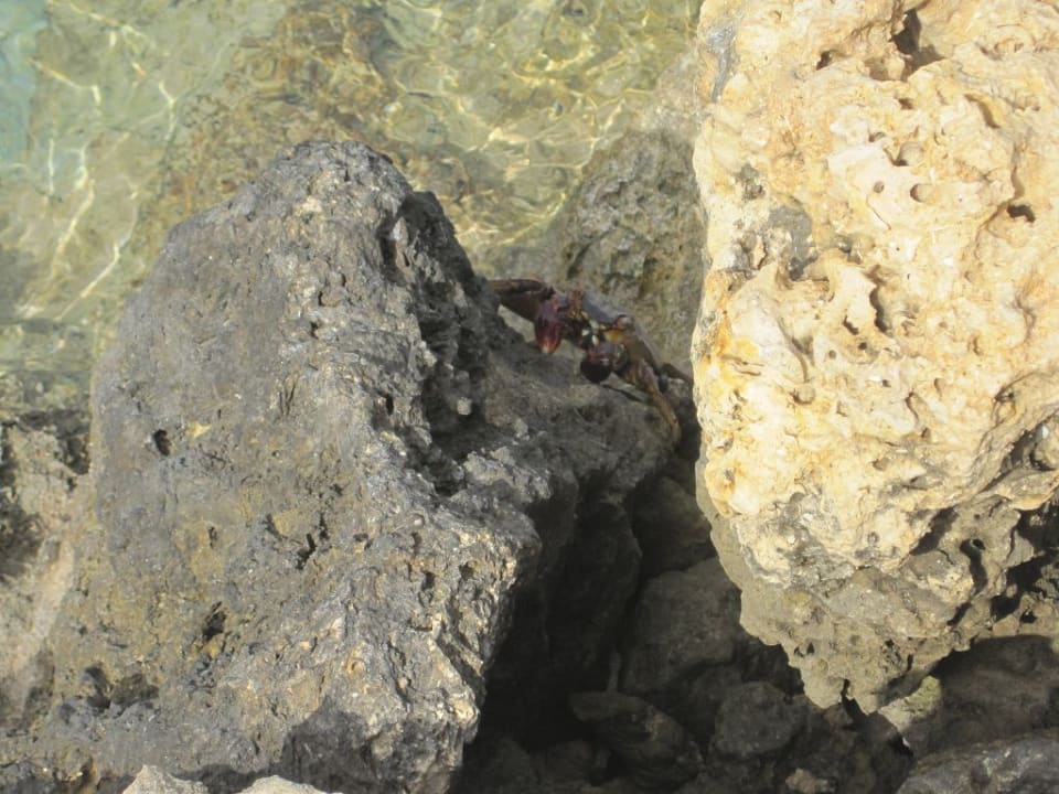 Strand Pickalbatros Citadel Resort