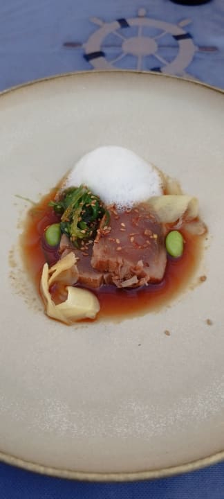 Gastro Acanthus Cennet Barut Collection