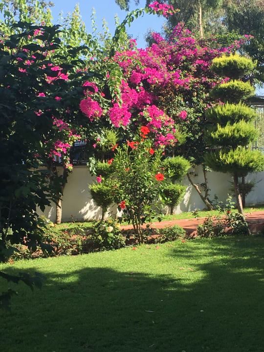 Gartenanlage Merve Sun Hotel & Spa