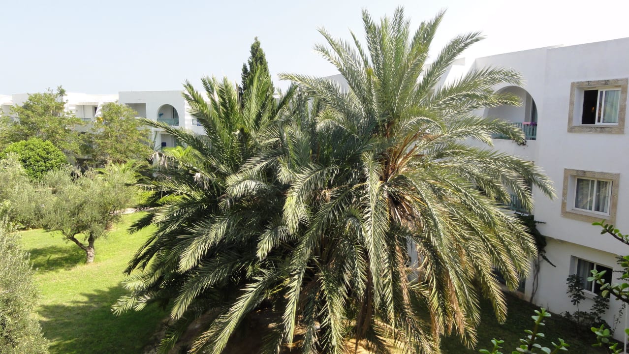 Ogród El Mouradi Club Kantaoui