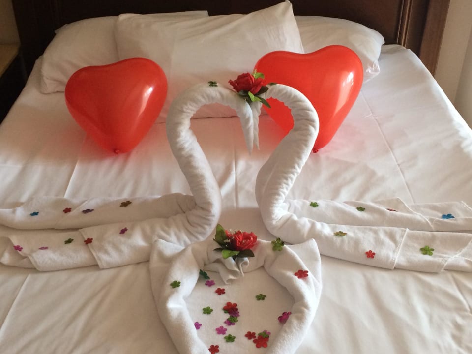 Einfach nur süß Hotel Delphin Palace