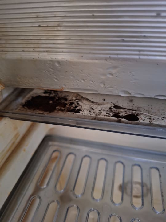 Zimmer Coral Hills Resorts & SPA