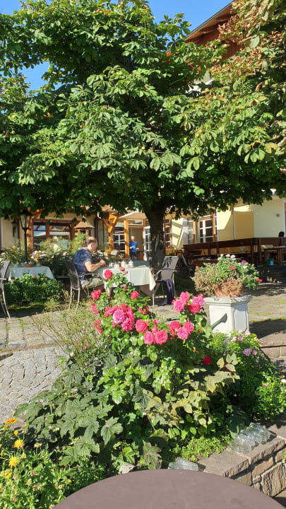 Gartenanlage Hotel Stadler am Attersee