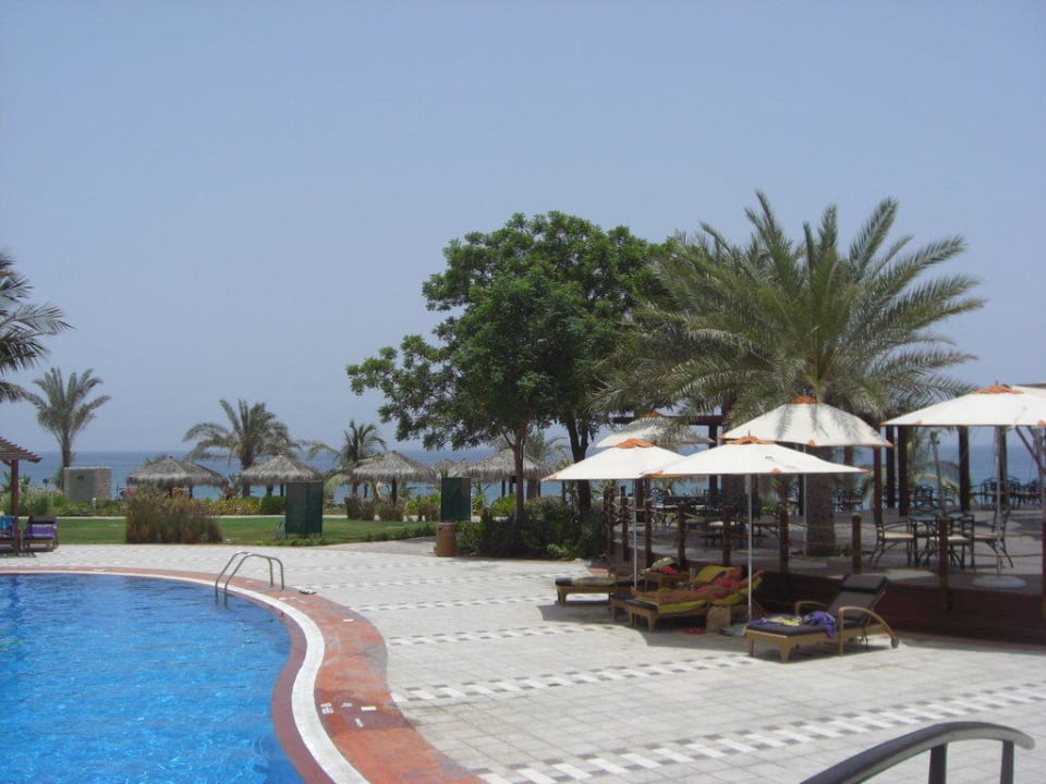 Pool Hotel Le Meridien Al Aqah Beach Resort