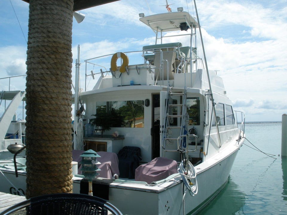 Leider nicht meines whala!boca chica