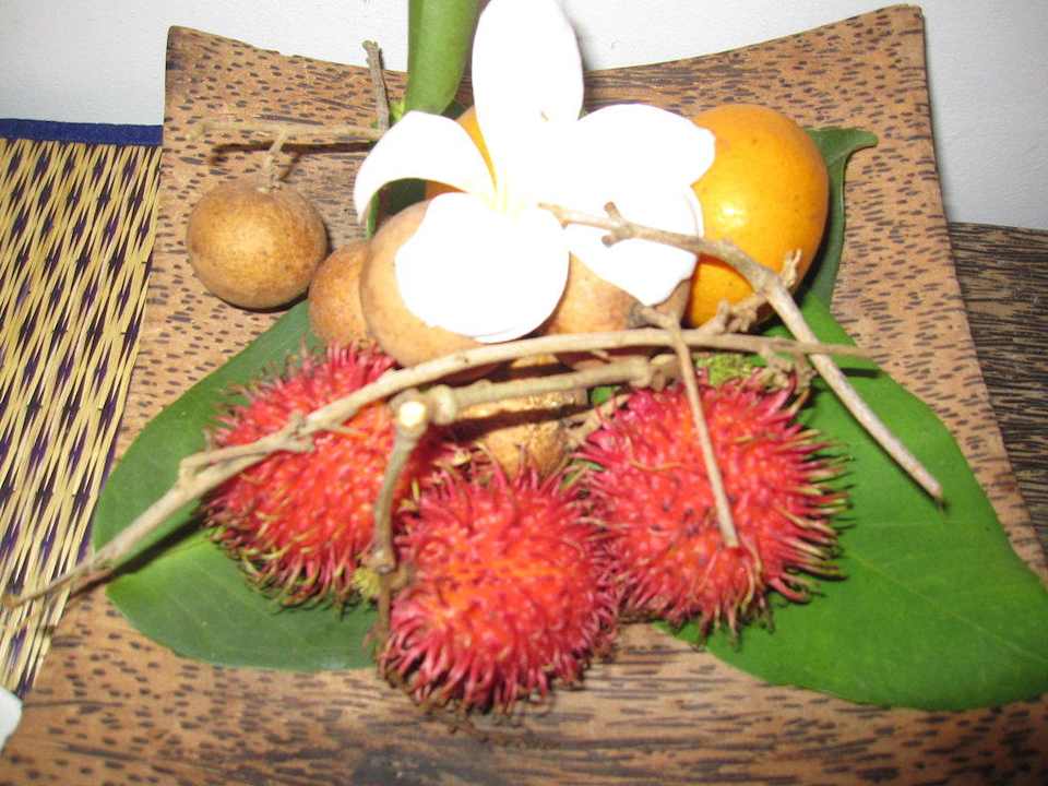 Willkommensgruß - frisches Obst Hotel The Kabiki