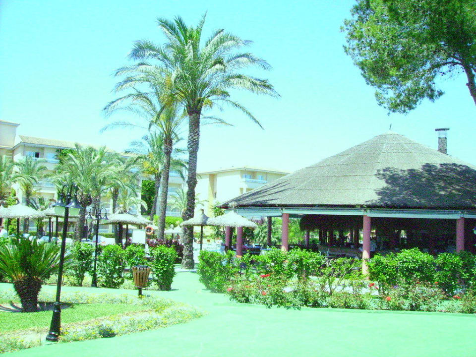 Gartenanlage Prinsotel La Dorada