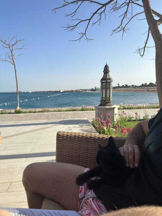 Ausblick The Grand Palace - Adults only