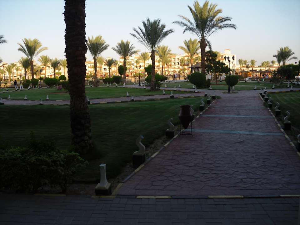 Von unserer Terrasse Pickalbatros Dana Beach Resort - Hurghada