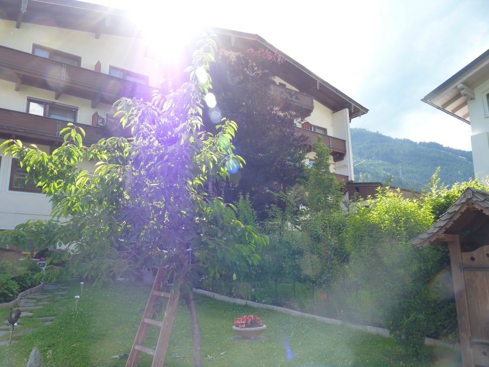 Blick vom Garten aus Mari Pop Hotel