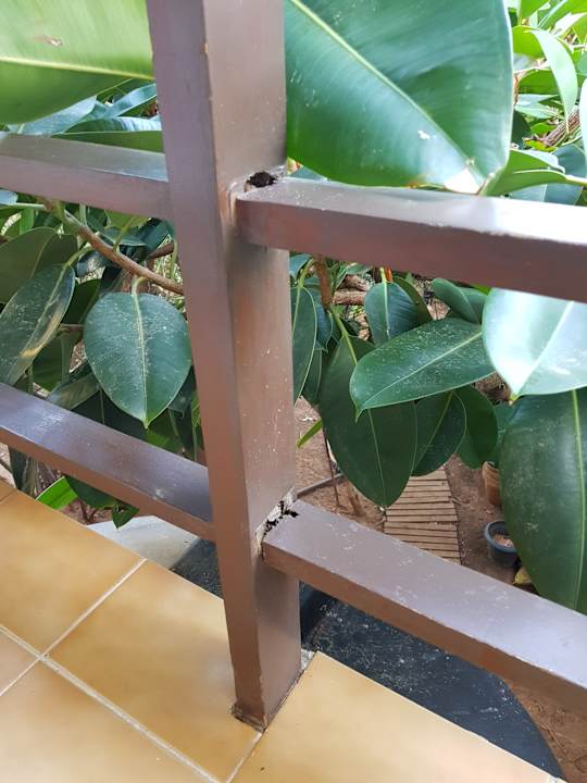 Ausblick allsun Hotel Malia Beach