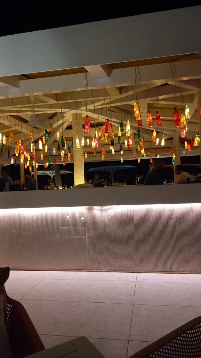 Sonstiges Desert Rose