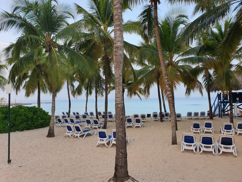 Strand Hotel Viva Dominicus Beach by Wyndham - All Inclusive Resort