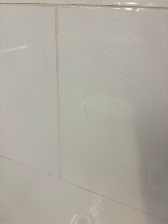 Zimmer Hotel Aloe Canteras