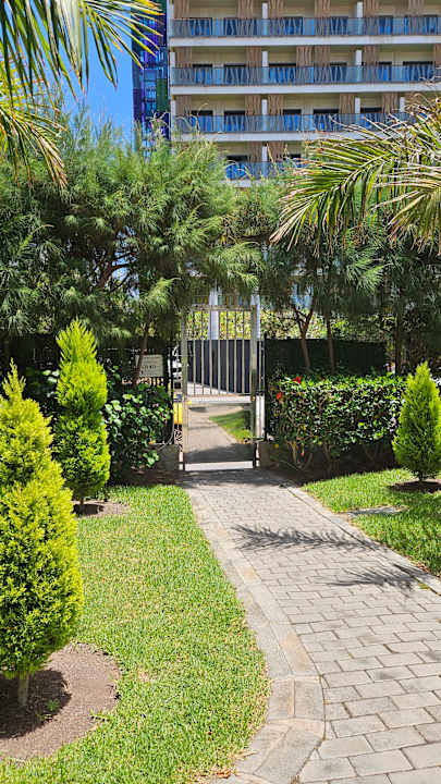 Gartenanlage Hotel Riu Palace Palmeras