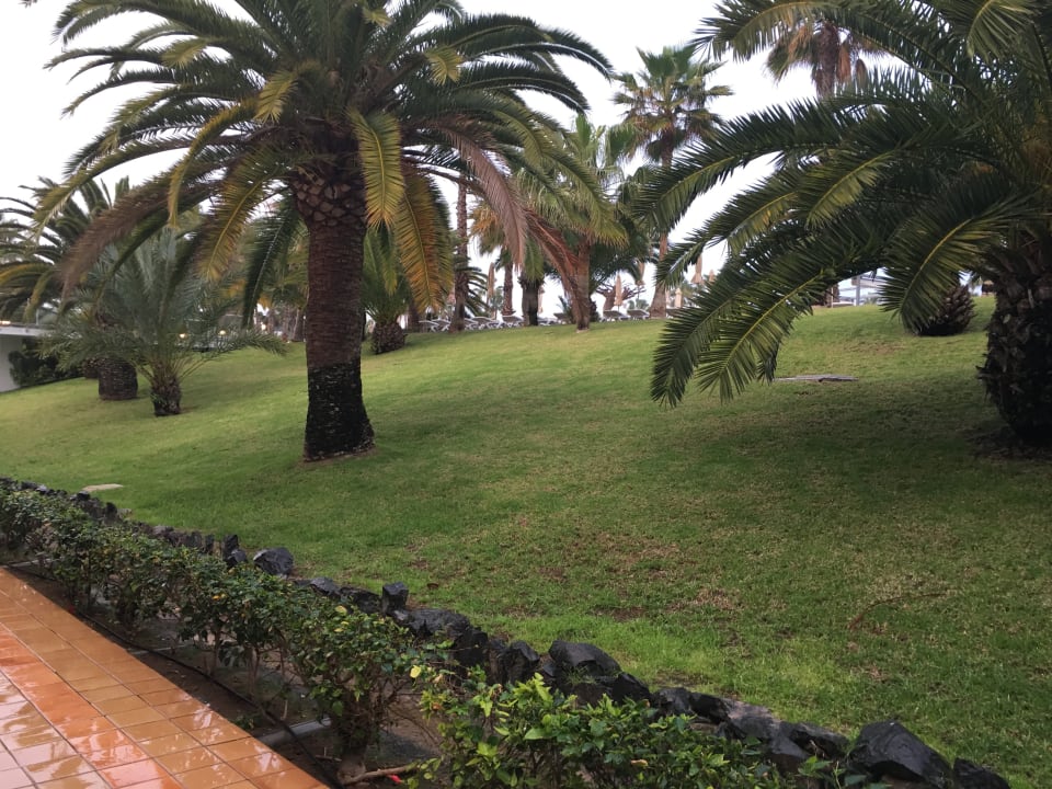 Gartenanlage Hotel Riu Gran Canaria