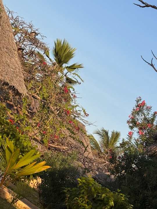 Gartenanlage Reef & Beach Resort