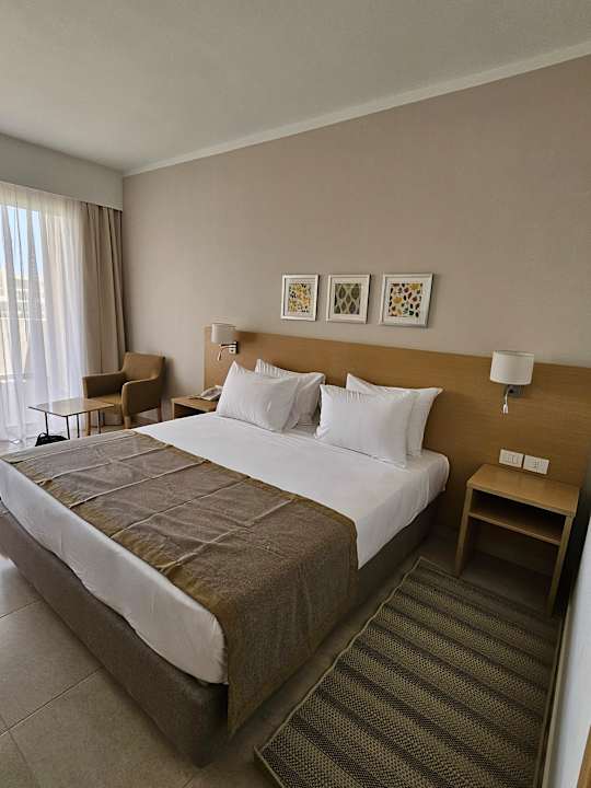 Zimmer JAZ Elite Asteria